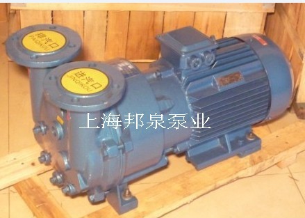 2BV5110水环真空泵