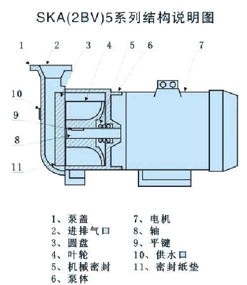 SKA（2BV）水环真空泵结构图