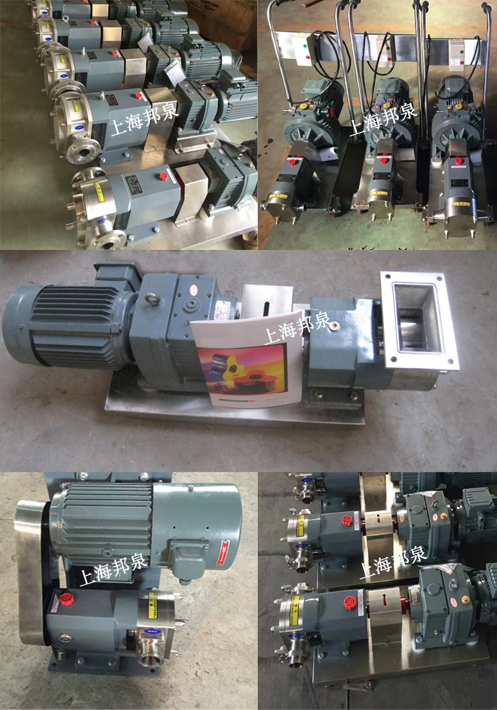 上海邦泉泵业凸轮转子泵图片